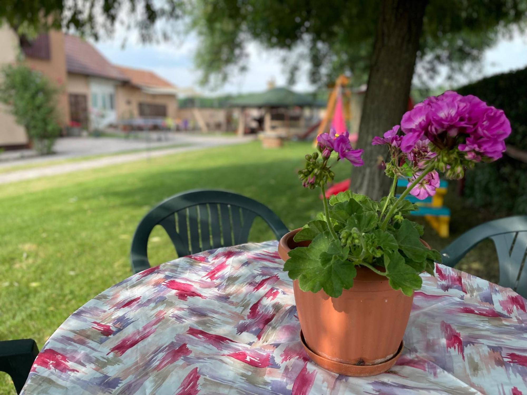 Linett Apartman Hajdúszoboszló Exterior foto